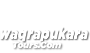 logo normalok blancotrans